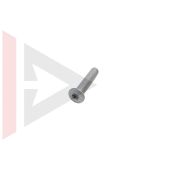 Parafuso da Dobradiça Porta Dianteira (Torx M8 x 40) Land Rover Defender 1987-2006 - BYG100140L - Marca Eurospare(Unitario)