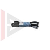Correia Poly V (Alternador) - Land Rover Discovery 2 Gas