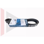 Correia Poly V Discovery 2