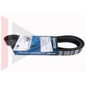 Correia Poly V Discovery 2