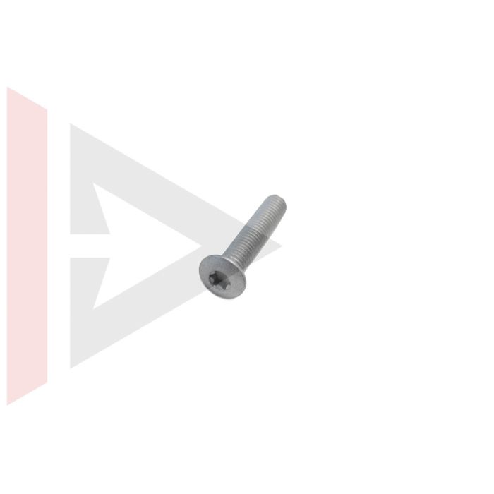 Parafuso da Dobradiça Porta Dianteira (Torx M8 x 40) Land Rover Defender 1987-2006 - BYG100140L - Marca Eurospare(Unitario)