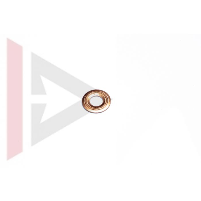 Arruela dos Bicos Injetores Motor 200 e 300 TDI - Land Rover Defender 1987-2006 / Discovery 1 1989-1999 - ERR4621 - Marca Bearmach (Unitario)