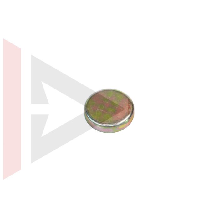 Selo do Motor TD5 (46mm) - Land Rover Discovery TD5 1999-2004 / Defender TD5  1999-2006 - ERR6674 - Marca Allmakes