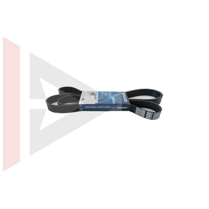 Correia Poly V (Alternador) - Land Rover Discovery 2 Gas