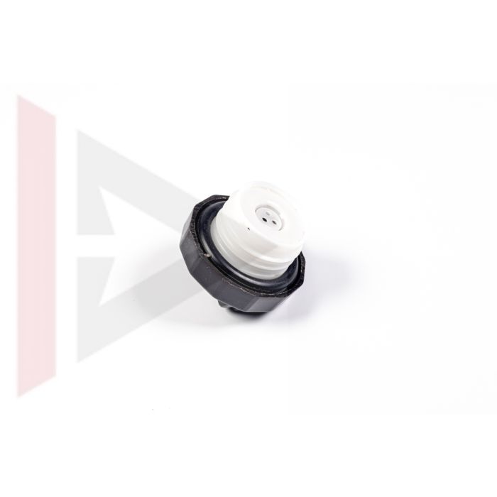 Tampa do Tanque de Combustivel - Land Rover Discovery 1 1989-1998 - WLD100820 NTC5418 - Marca Allmakes
